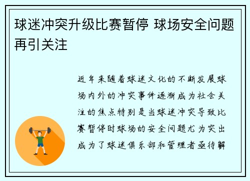球迷冲突升级比赛暂停 球场安全问题再引关注